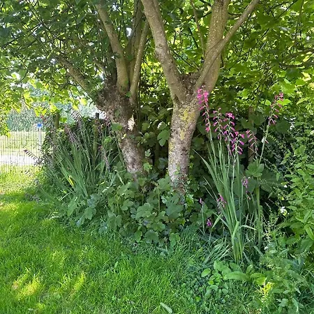 L'ileau * La Taillee