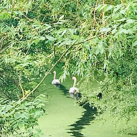 Сasa de vacaciones L'ileau *