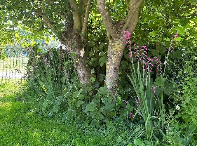 L'ileau * La Taillee