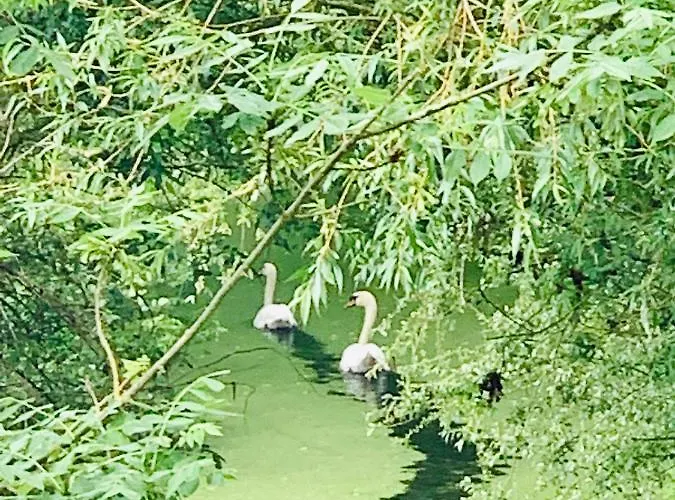 Semesterbostad L'ileau *